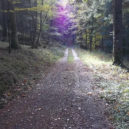 Aire Du Gros Pre Lesseux