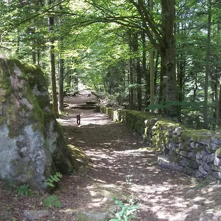 Aire Du Gros Pre * Lesseux