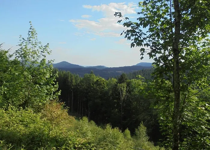 营地 Aire Du Gros Pre