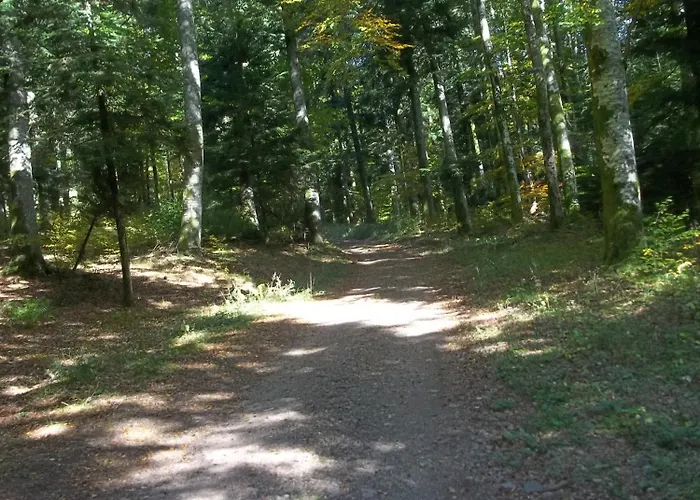 Aire Du Gros Pre 营地 Lesseux