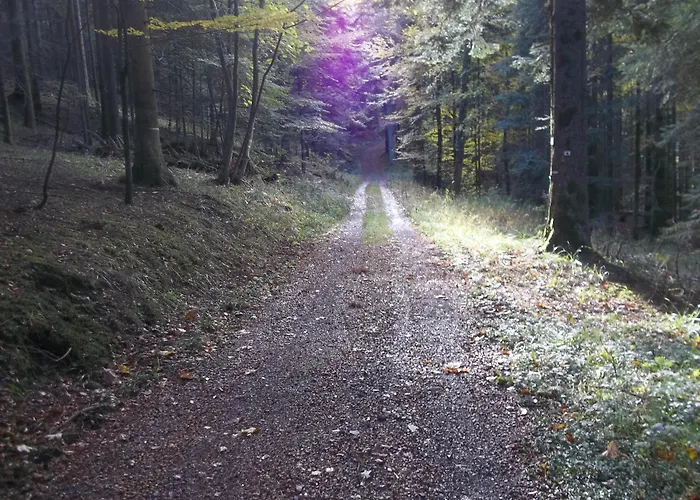 Aire Du Gros Pre Lesseux