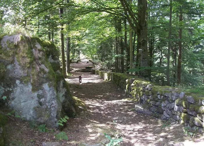 Aire Du Gros Pre * Lesseux